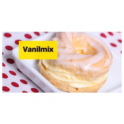 Vanilmix směs pro přípravu pudinkového krému za studena (0,5 kg)  /DTS