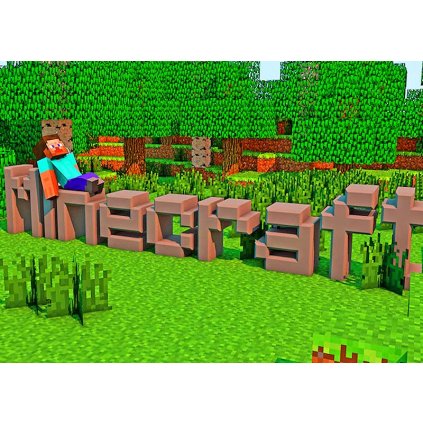 MINECRAFTA42