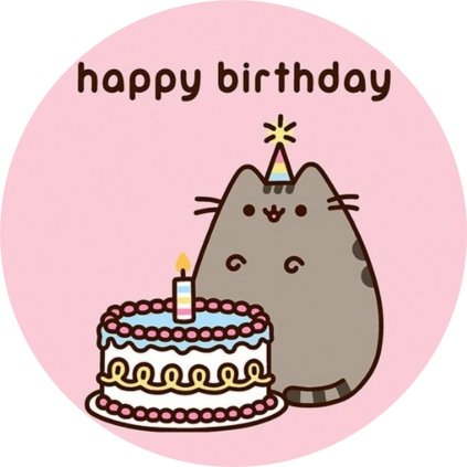 PUSHEENHAPPYBIRTHDAY