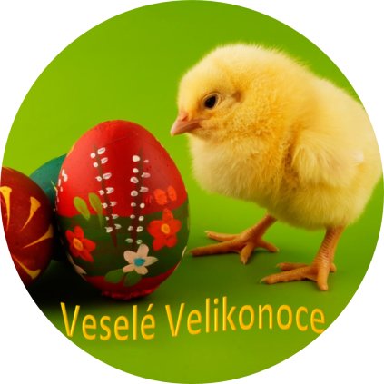 VELIKONOČNÍKUŘÁTKO
