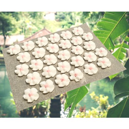 20210917 164408 removebg (1).png