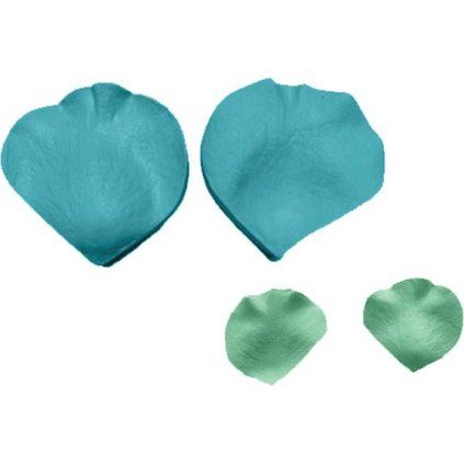 2a18cd5f0731644e7770bc52d8b302e5