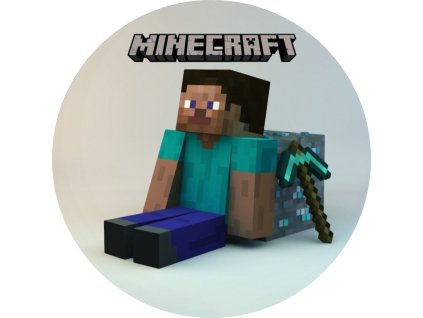 MINECRAFT 13