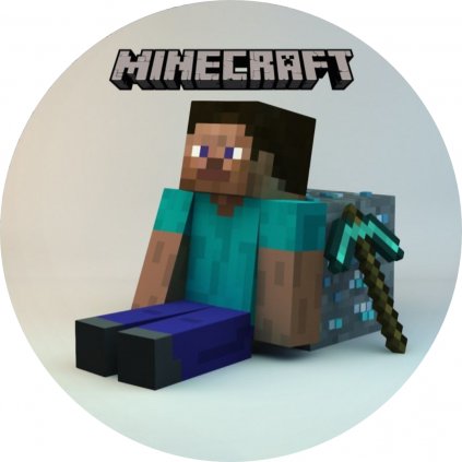 MINECRAFT 13