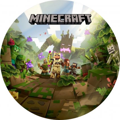 MINECRAFT 15