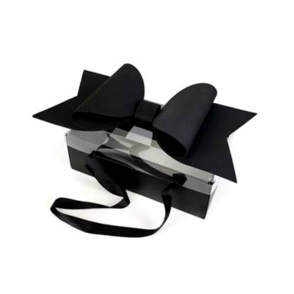 Elegantní univerzální box s mašlí černý (35 x 21 x 16,5 cm) /D_7281