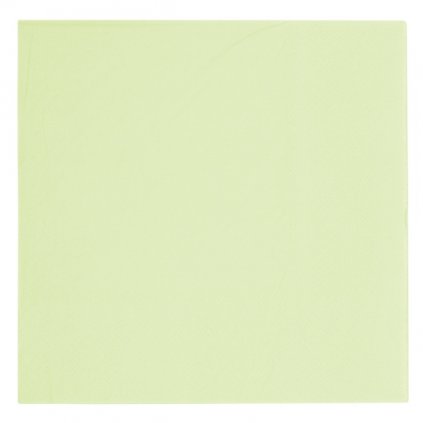 Papírové ubrousky - Vert Decor pastelově zelené, 33 x 33 cm, 20 ks  /BP