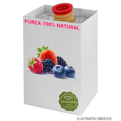 Ovocné pyré 100% přírodní lesní plody 1,5 kg/aseptic bag