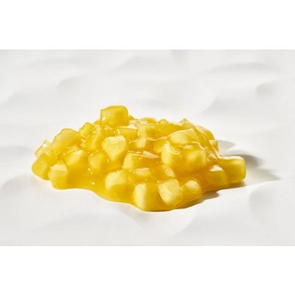 Prémiová ovocná náplň Fruitful Mango (2,7 kg) ♡