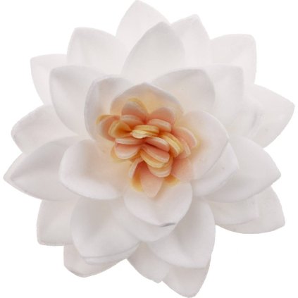 b66fb5379cf58749fcaeacc83330fbd7