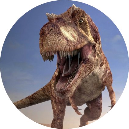Jedlý papír  DINOSAURUS REX