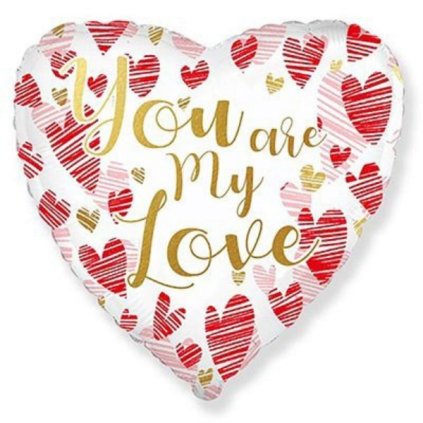 0021318 foliovy balonek srdce you are my love 43 cm nebalene 600