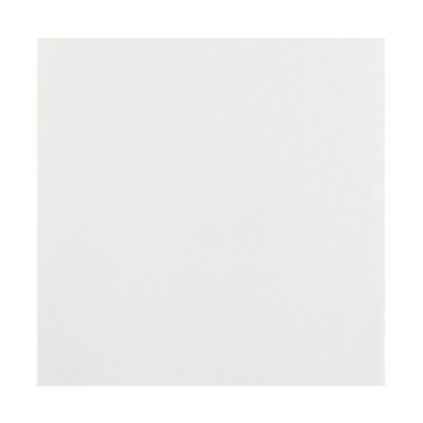 0025569 ubrousky airlaid bile 40 40 cm 25 ks 600