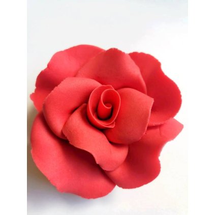 d19430892b6501b0cff4272dc9e38d63