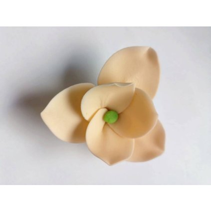 1c6793ebf060fb76ed17db3fd49a5e49