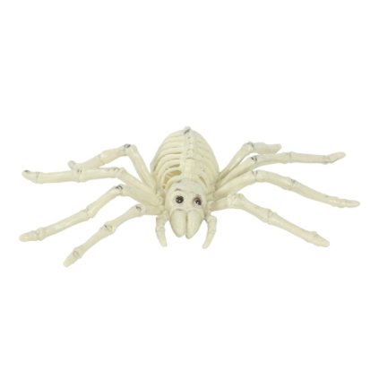0033408 dekorace kostra pavouka 24 cm 600