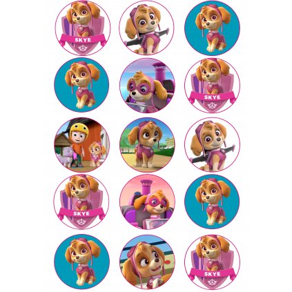 35023 339 vyr 337paw patrol skye cupcake toppers