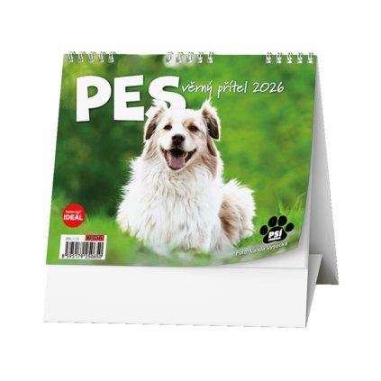 cz pim 410988001001 00