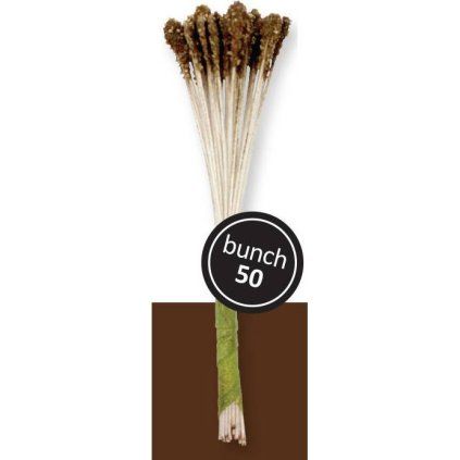 61ea40c9da03d7fc49fd6e0b4520bcdf