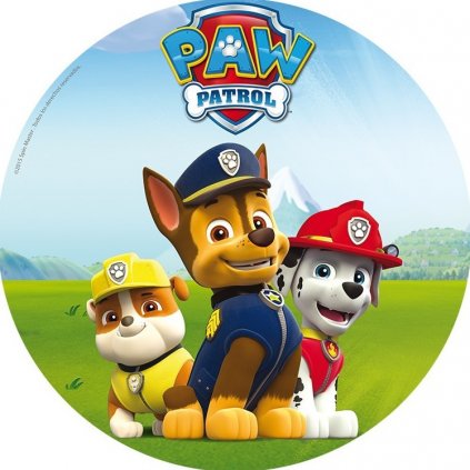 PAW PATROL (4)