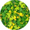 4Cake Cukrové zdobení žluté a zelené Spring Friends (70 g) /D_EX0269-70