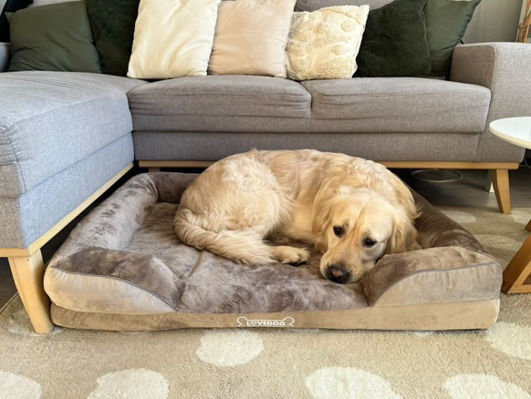 Ollie ortopedický pelíšek