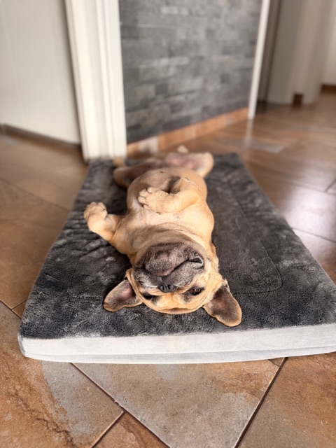 Ortopedická matrace 90x60 cm