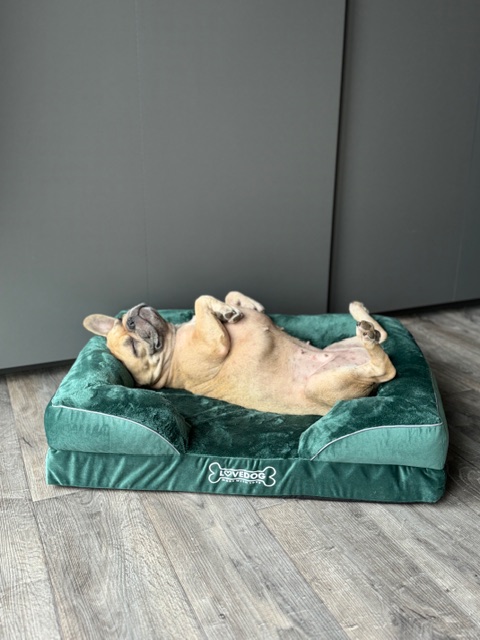 Abby - ortopedický pelech