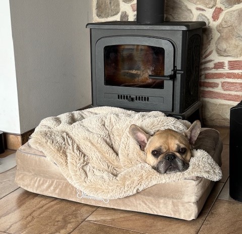 Abby - ortopedický pelech