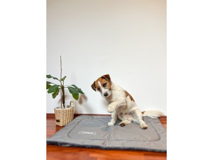 Antialergické matrace LOVEDOG - vel. M