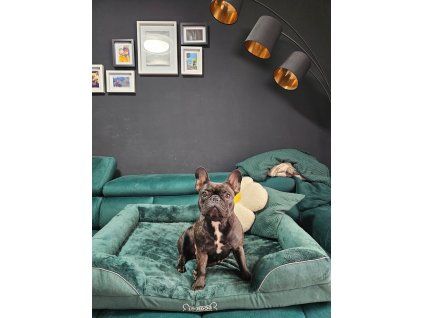 C0B886FB 174D 4E66 8131 3277ED90B3DC
