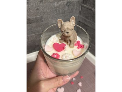 Sójová svíčka PEJSEK/KOČIČKA