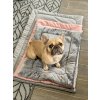 Antialergické matrace LOVEDOG - vel. M