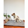 Antialergické matrace LOVEDOG - vel. M