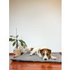 Antialergické matrace LOVEDOG - vel. M