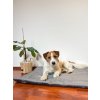 Antialergické matrace LOVEDOG - vel. M