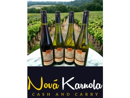 514259287 24643457468592937 5858971354210648206 n