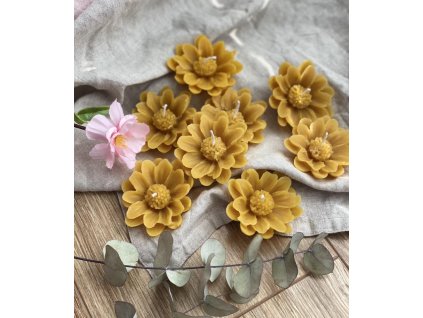 Plávajúca margaretka cena 2,00 eur 5