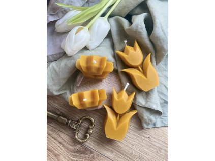 Kvietok tulipan cena 4,00 eur 8,5 4