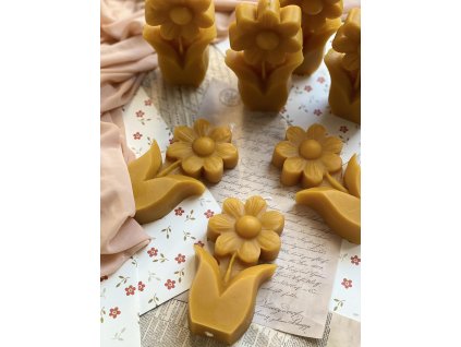 373465101 841450660749636 7526294573466145130 n