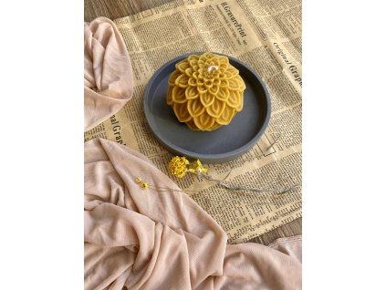 377950701 654644566638399 1800259796912681312 n