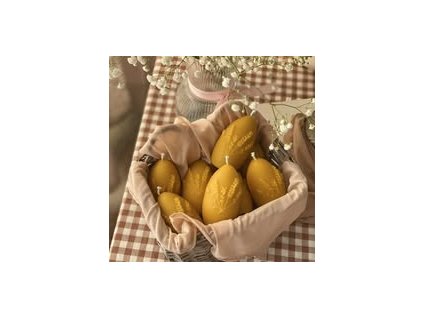 495242999 1172292891362473 6276477387723159940 n