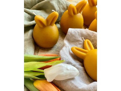 490220647 18038832116538910 8634884927885742284 n