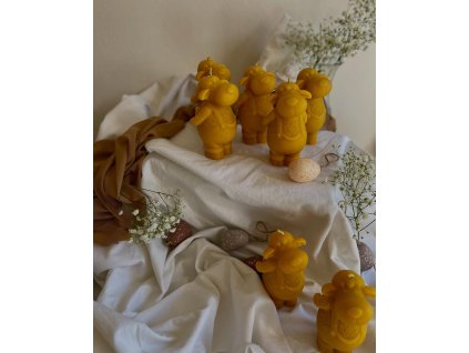 491439325 18039301739538910 7614330755721289590 n