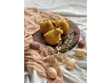 496071882 1172291374695958 8395604531584581393 n