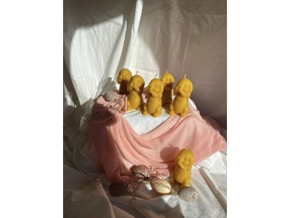 496294989 1172293988029030 7764710214111687835 n