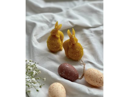 473582010 18029410244538910 6966392978248185434 n