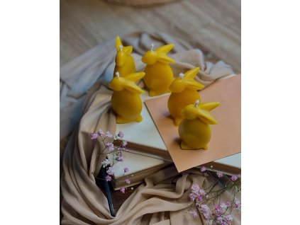 490201633 18038832125538910 6925597189665594859 n