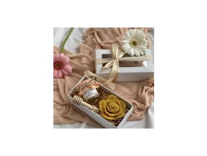 500424215 1183217460270016 767246327161561404 n