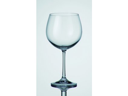 424 sklenice barbara na vino